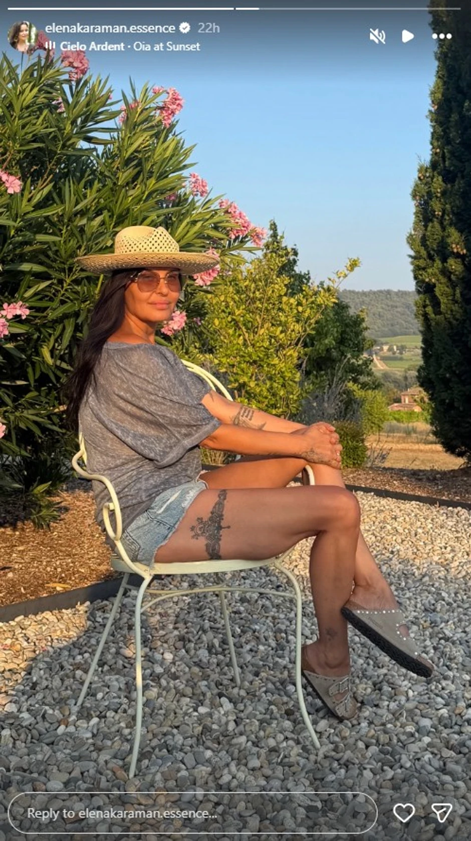 Elena Karić, objava