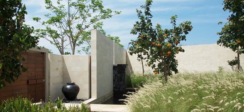 3 trendy ogrodnicze w sezonie 2026. Czym wyróżnia się modny ogród?