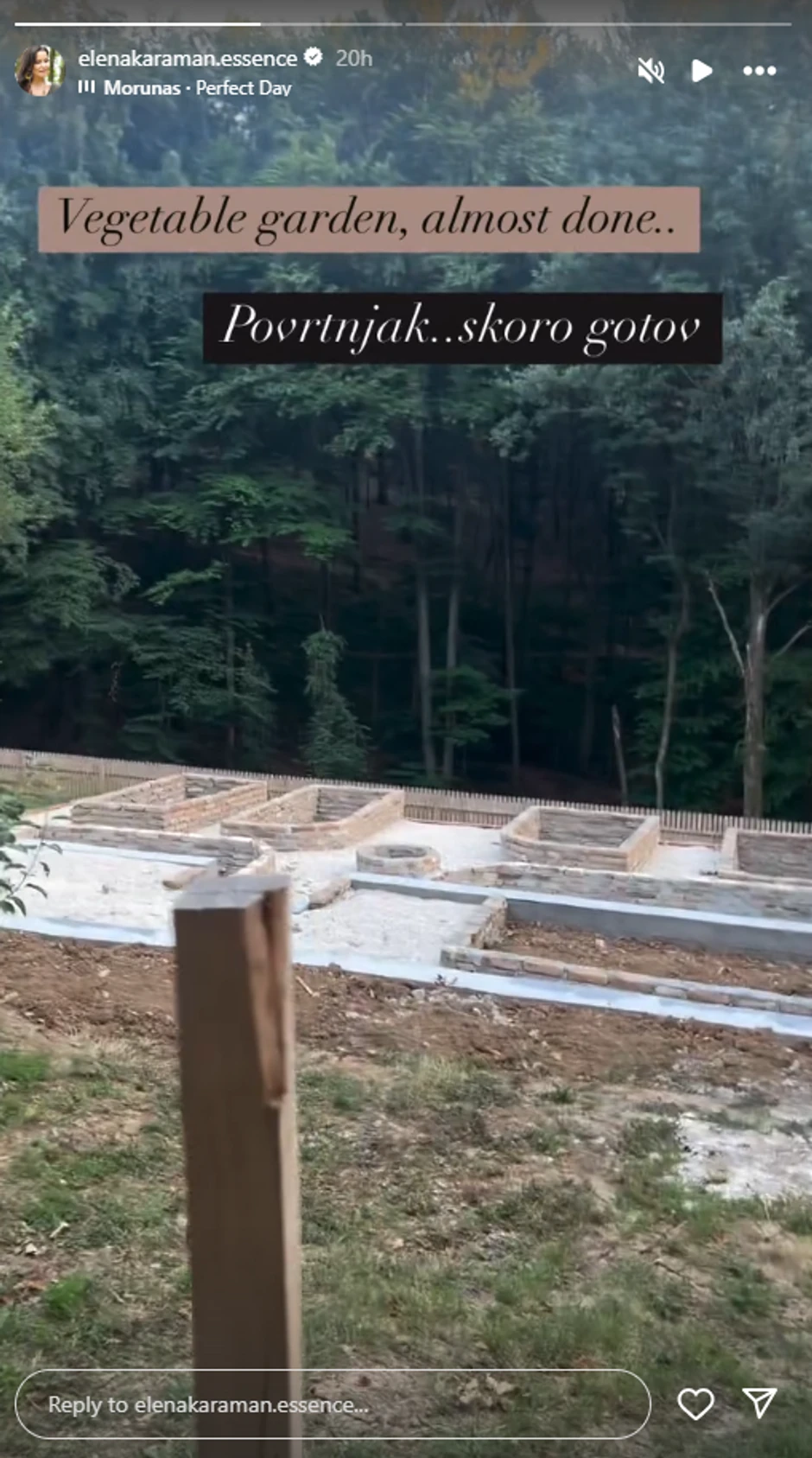 Elena Karić, objava