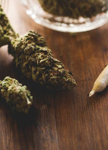 A cannabis és használatának veszélyei