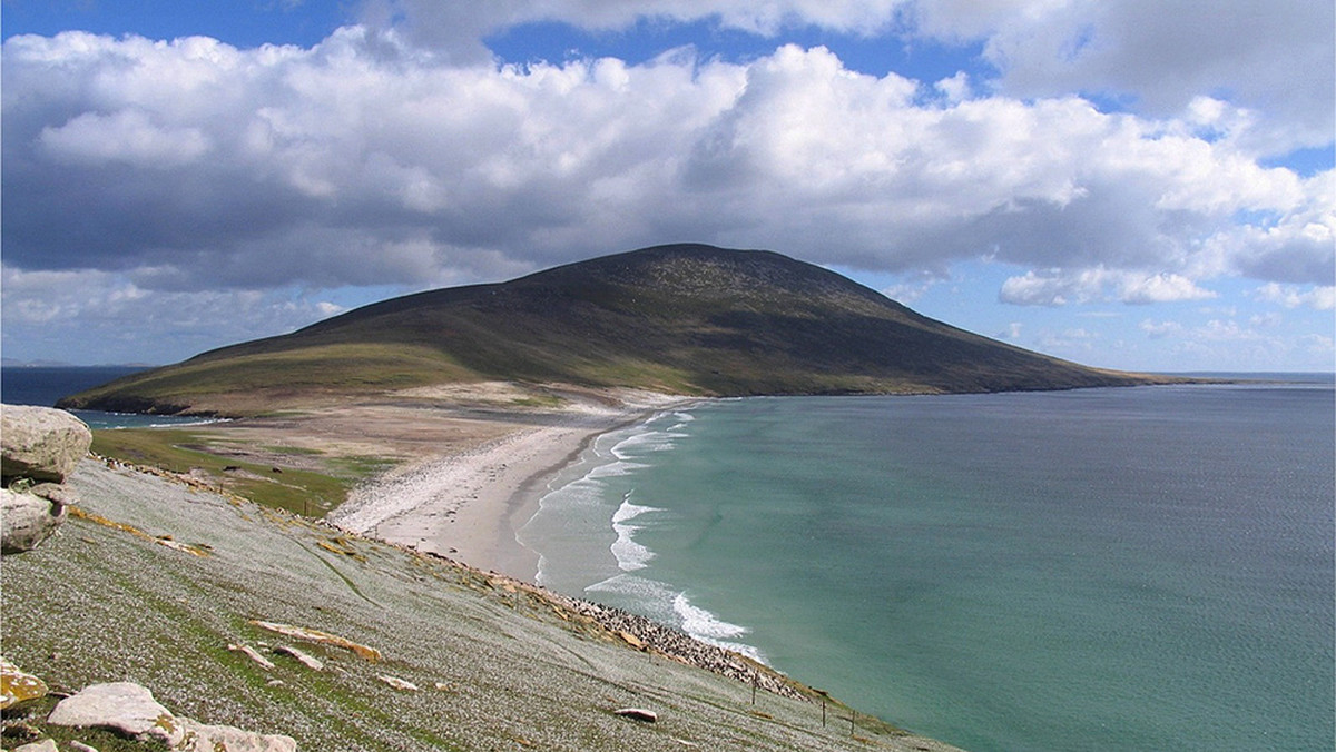 Saunders Island