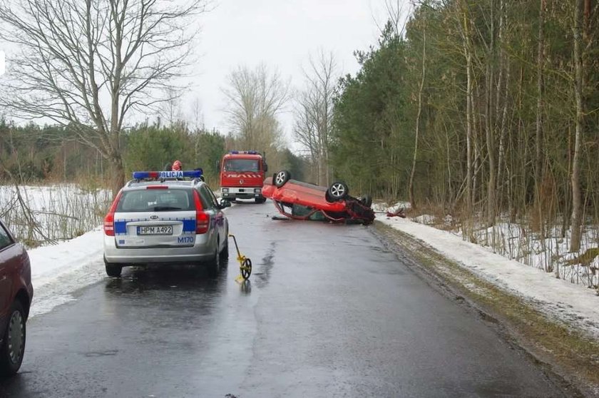 Dachował, bo omijał łosia!