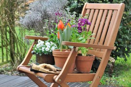 7 vrsta PROLEĆNOG CVEĆA koje će zašareniti balkon i baštu već u martu: Dobro podnose mraz, lako se održavaju, a pojedine vrste traju godinama