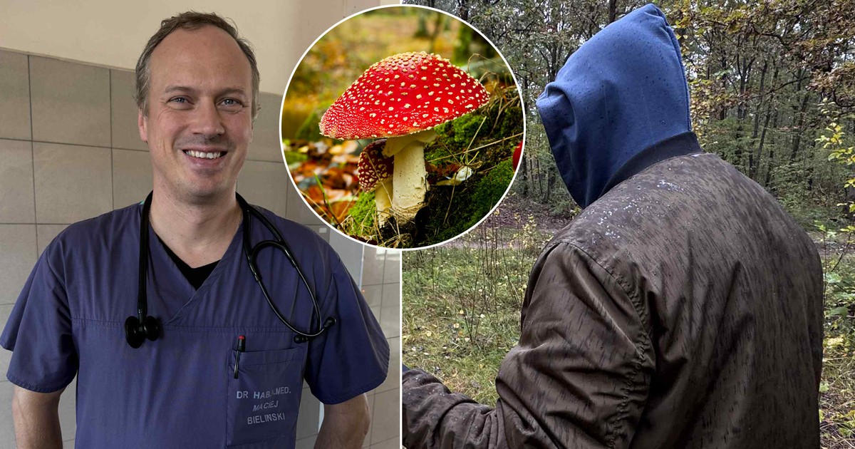 Pan Tomasz kupił grzyby przy drodze. Cudem przeżył zatrucie. "W szpitalu była już panika"