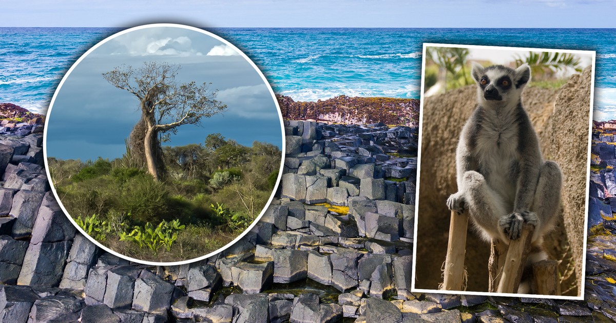 Polska planowała kupić wyspę. To miała być nasza kolonia