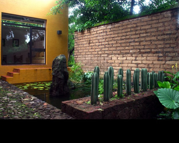 Przydomowy ogród w Meksyku