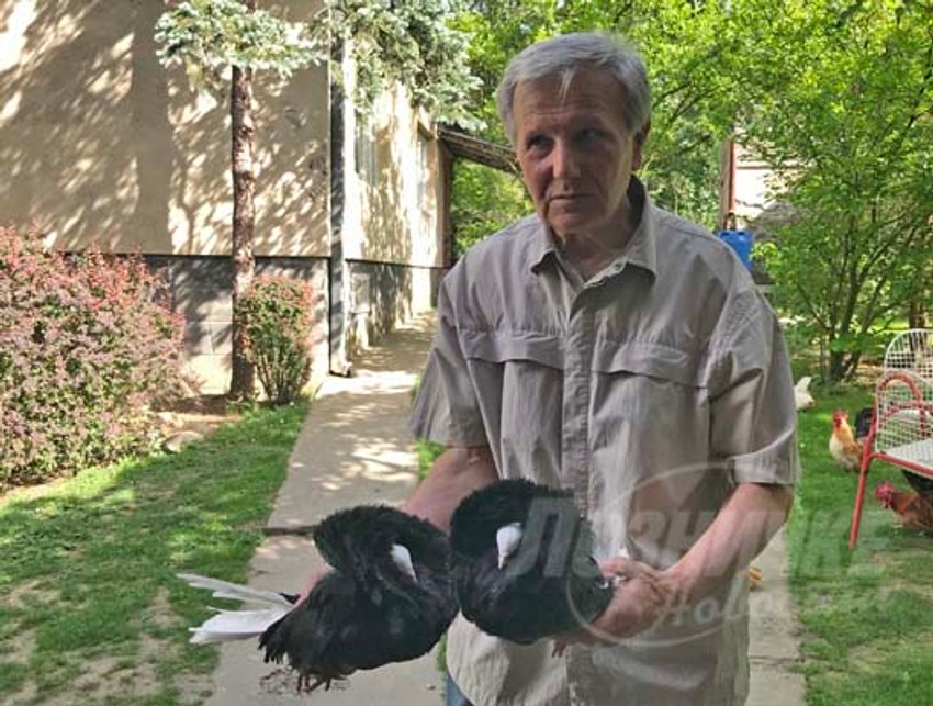 Gvozden i Živko, prijateljstvo dugo četri decenije