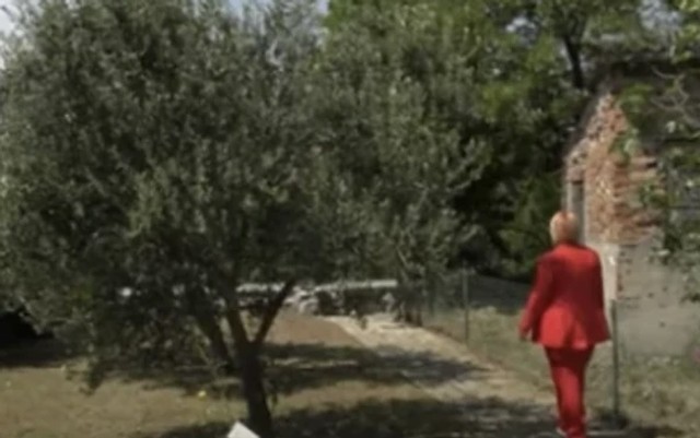 Kuća Vedrane Rudan 