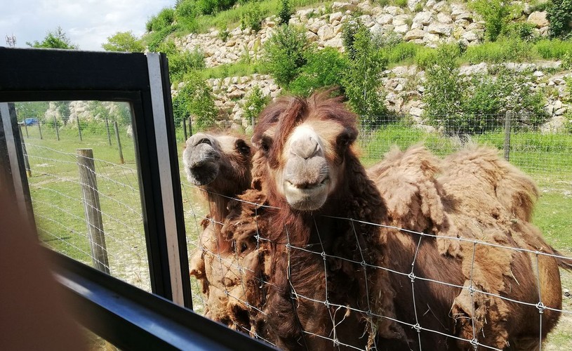 Zwierzyniec Bałtowski