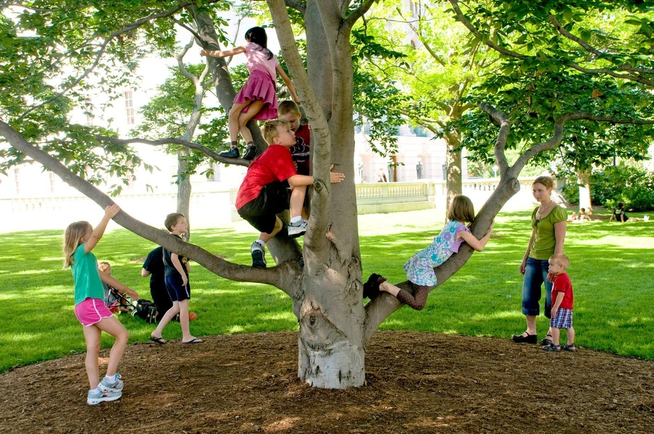 U redu je ako se penju na drveće