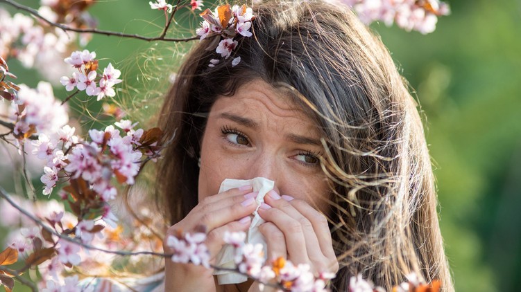 fűzfa nyírfa pollen allergia húsvét barka