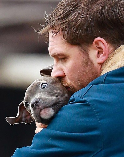 Tom Hardy w filmie 'Brudny szmal'