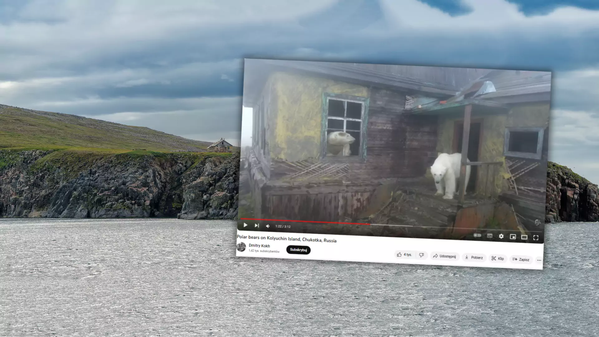 Fotograf pokazuje, jak niedźwiedzie polarne zasiedliły budynki [ZDJĘCIA]