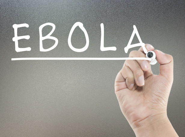 Krew do walki z ebolą
