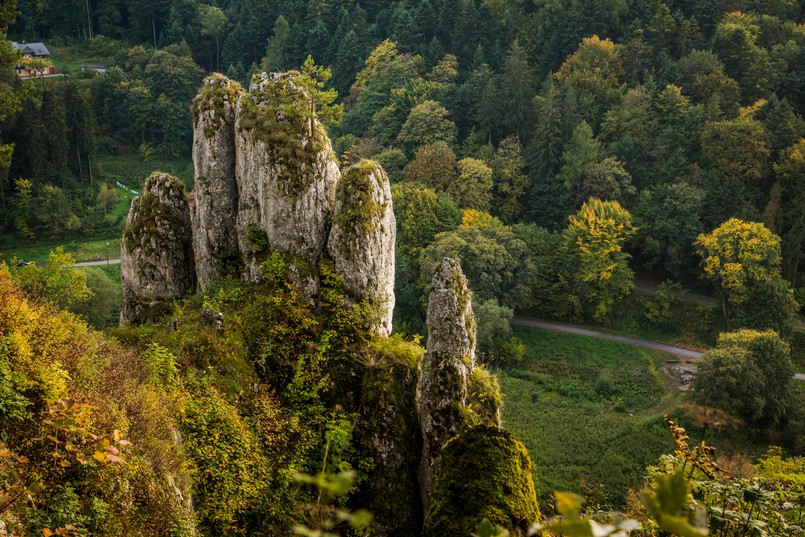 Ojcowski Park Narodowy Rock,"glove",In,Ojcow,National,Park,,Silesia,,Poland