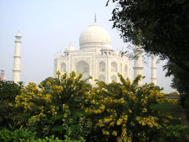 Galeria Indie - z Tadż Mahal w tle, obrazek 17