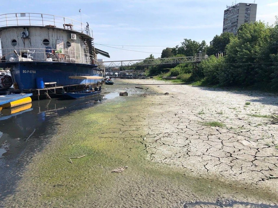 Ovako izgleda Dunav u Beogradu kod Zemunskog keja | Foto: BBC/Predrag Vujić