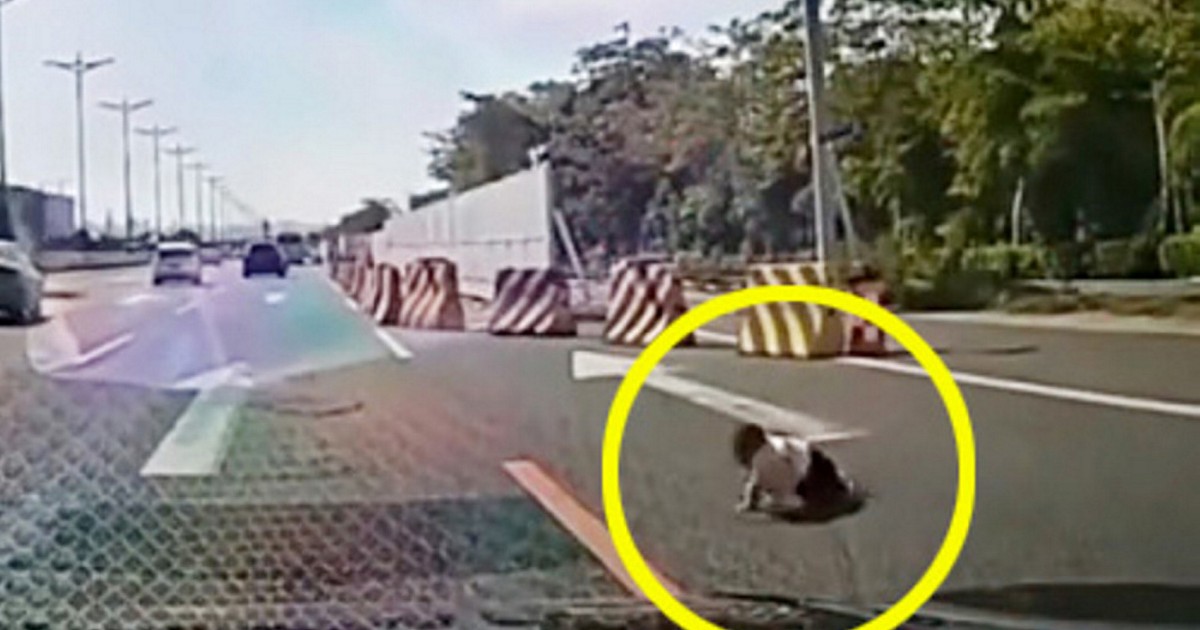 Panika na autostradzie. Nagle kierowcy zauważyli raczkujące po jezdni dziecko