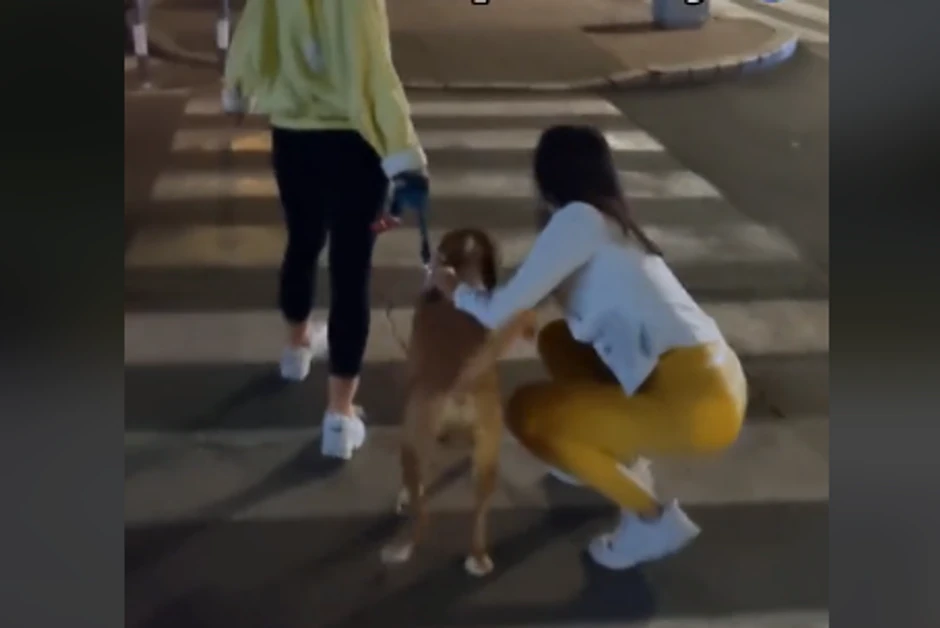 Fitnes bliznakinje navukle gnev javnosti