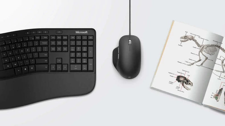 Microsoft Ergonomic Mouse