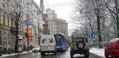 Wokół Plant jednym kierunkiem?