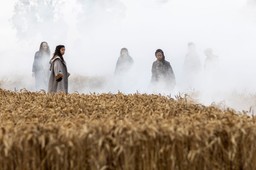 sanktuarium opowieść czarownicy serial thriller fantasy gdzie oglądać odcinek 6