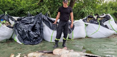 Dramatyczne obrazy z Odry. Olbrzymie martwe sumy leżą na brzegu. To nie są ZDJĘCIA sprzed tygodnia czy dwóch. To się dzieje teraz