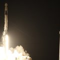 Baby Yoda w kosmosie. NASA i SpaceX wysłały na orbitę nie tylko ludzi