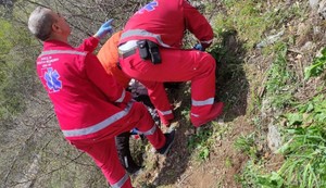 Saobraćajna nesreća, Ostrovica