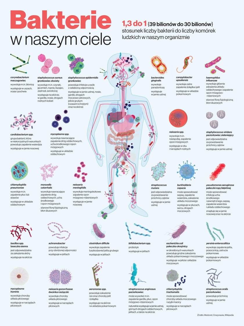 „Infografika. Wiedza w obrazach"