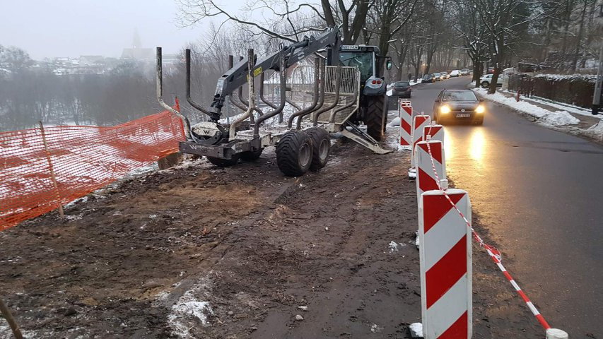 Rozpoczęto przygotowanie terenu w parku Centralnym pod kontrowersyjną inwestycję Arbetu [ZDJĘCIA]