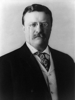  Theodore Roosevelt