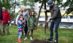Katowice: mieszkańcy posadzili drzewa na os. Tysiąclecia