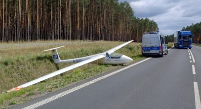 Niezwykłe sceny na obwodnicy Zielonej Góry. Musieli reagować natychmiast