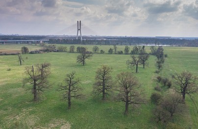 Nowe życie Pól Osobowickich. Od dawnej oczyszczalni do rezerwatu!