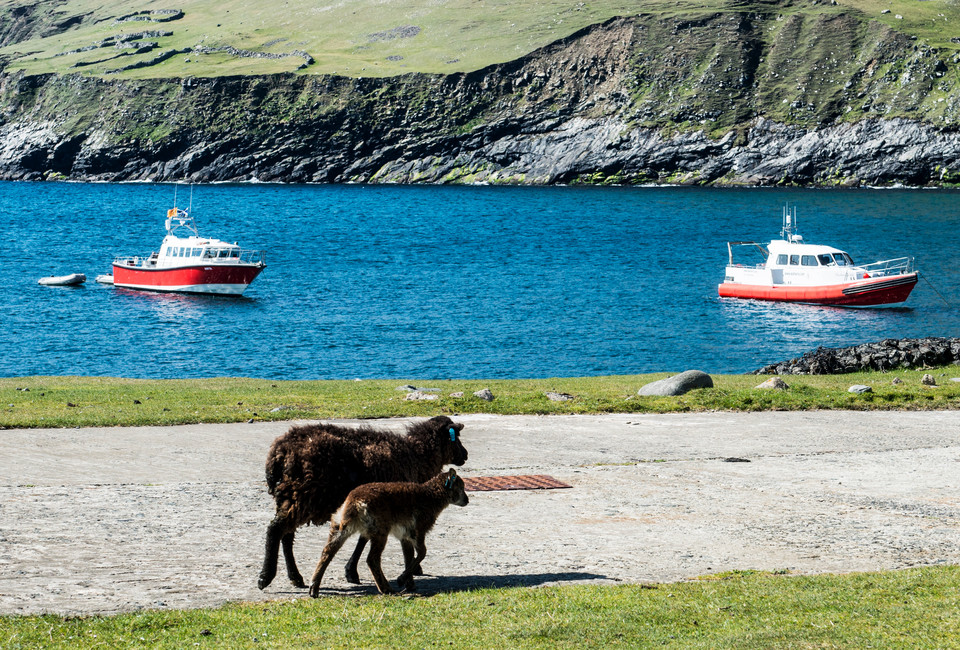 Wyspy St Kilda (Hebrydy) na Oceanie Atlantyckim 