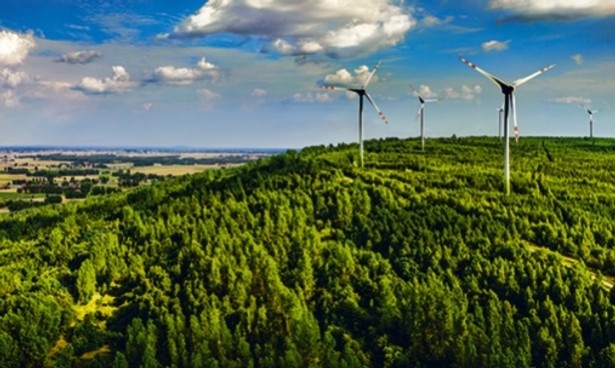 Trybunał Konstytucyjny zbada, czy Sejm mógł przywrócić z mocą wsteczną niekorzystne dla gmin zasady opodatkowania farm wiatrowych.