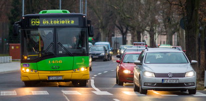 Zrobią buspas na Niepodległości?