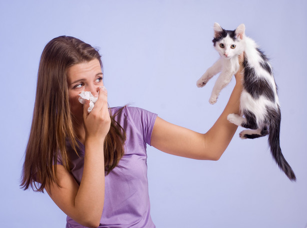 Nieleczona alergia może prowadzić do astmy oskrzelowe
