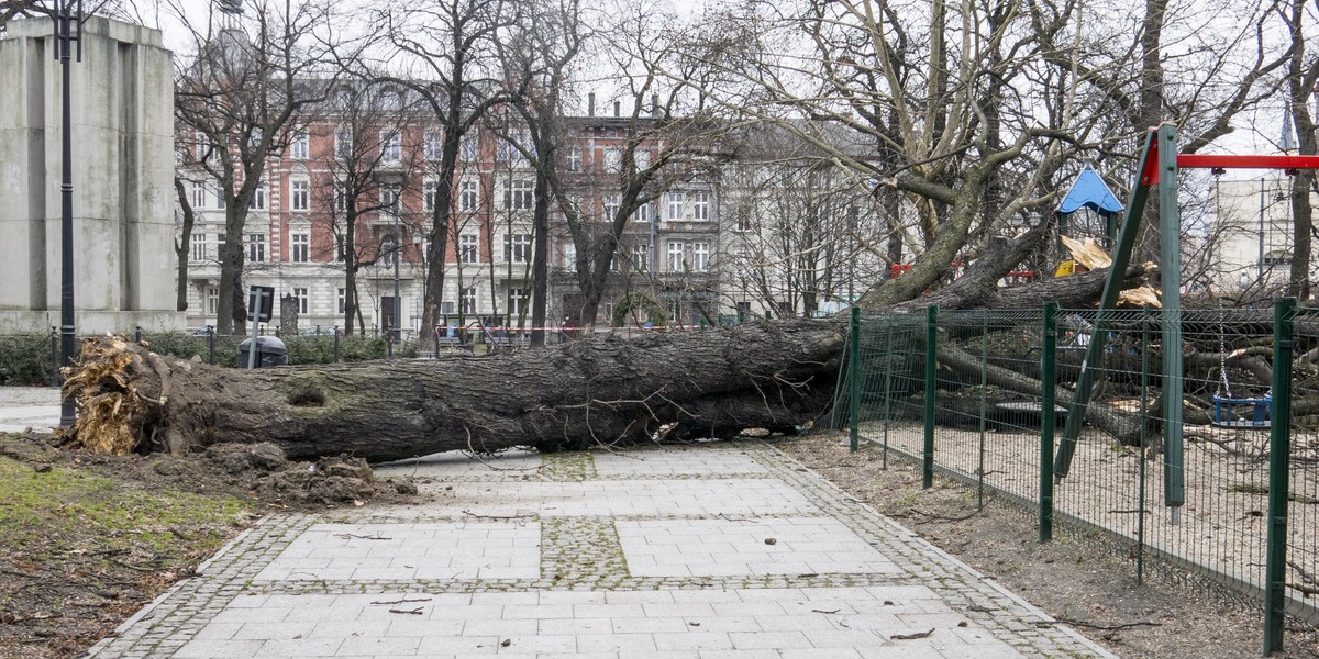 Skutki silnych wichur nad województwem śląskim 