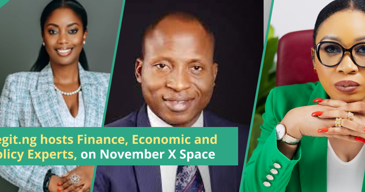 Financial, economy and policy experts Nancy Nnaji, Paul Alaje, Chinenye Uwanaka join Legit.ng to discuss strategies for naira stability - Vimarsana News
