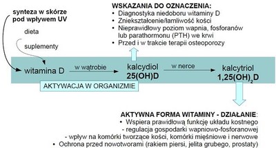 Diagnostyka Osteoporozy Nie Tylko W Ostebusie