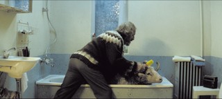 Kto się czubi, ten się lubi. Komedia 'Barany' w kinach