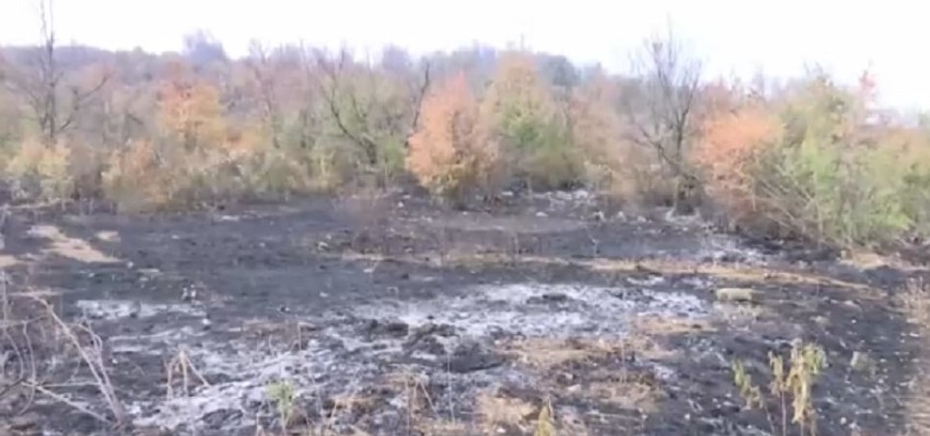 Sa buktinjom se teško bore i najveći profesionalci