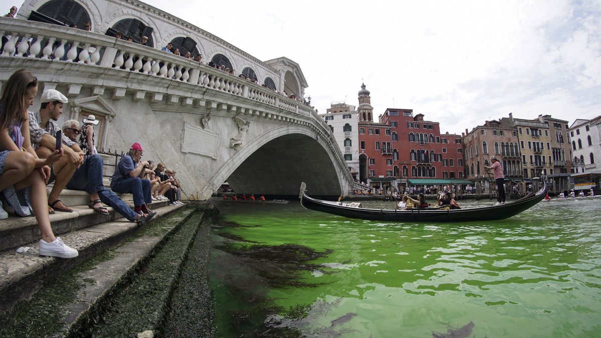 Tajemnicza odblaskowa zielona plama na Canal Grande w Wenecji