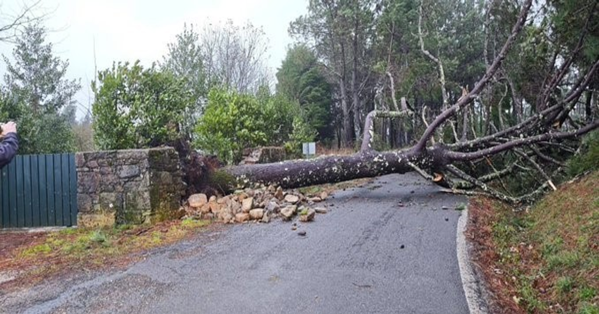 Vientos de 150 km/h causan 150 incidencias y dos heridos en Galicia