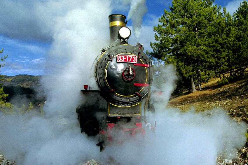 Gost iz Japana insistirao da se vozi sam i putuje u parnoj lokomotivi