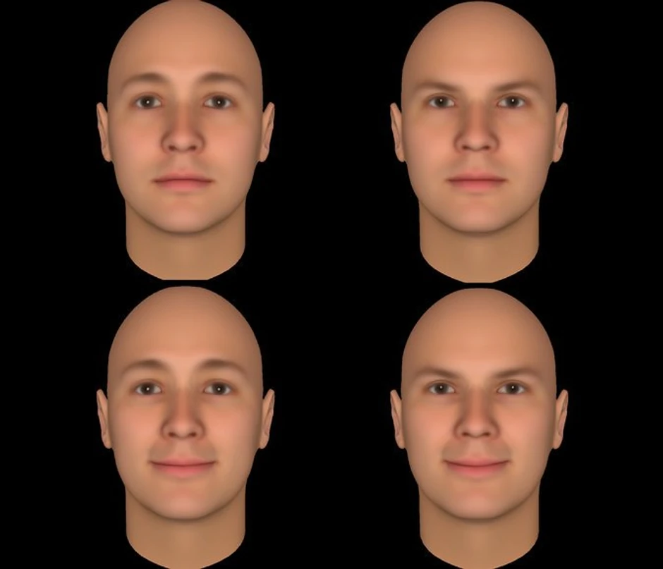 U gornjem redu, lice sa spuštenim obrvama većini ljudi deluje više ljutito nego ono pored njega. Profesor Univerziteta Prinston, međutim, kaže da "niže obrve u kombinaciji s osmehom (dole desno) ne moraju nužno biti povezane s pozitivnim - lice deluje lukavo