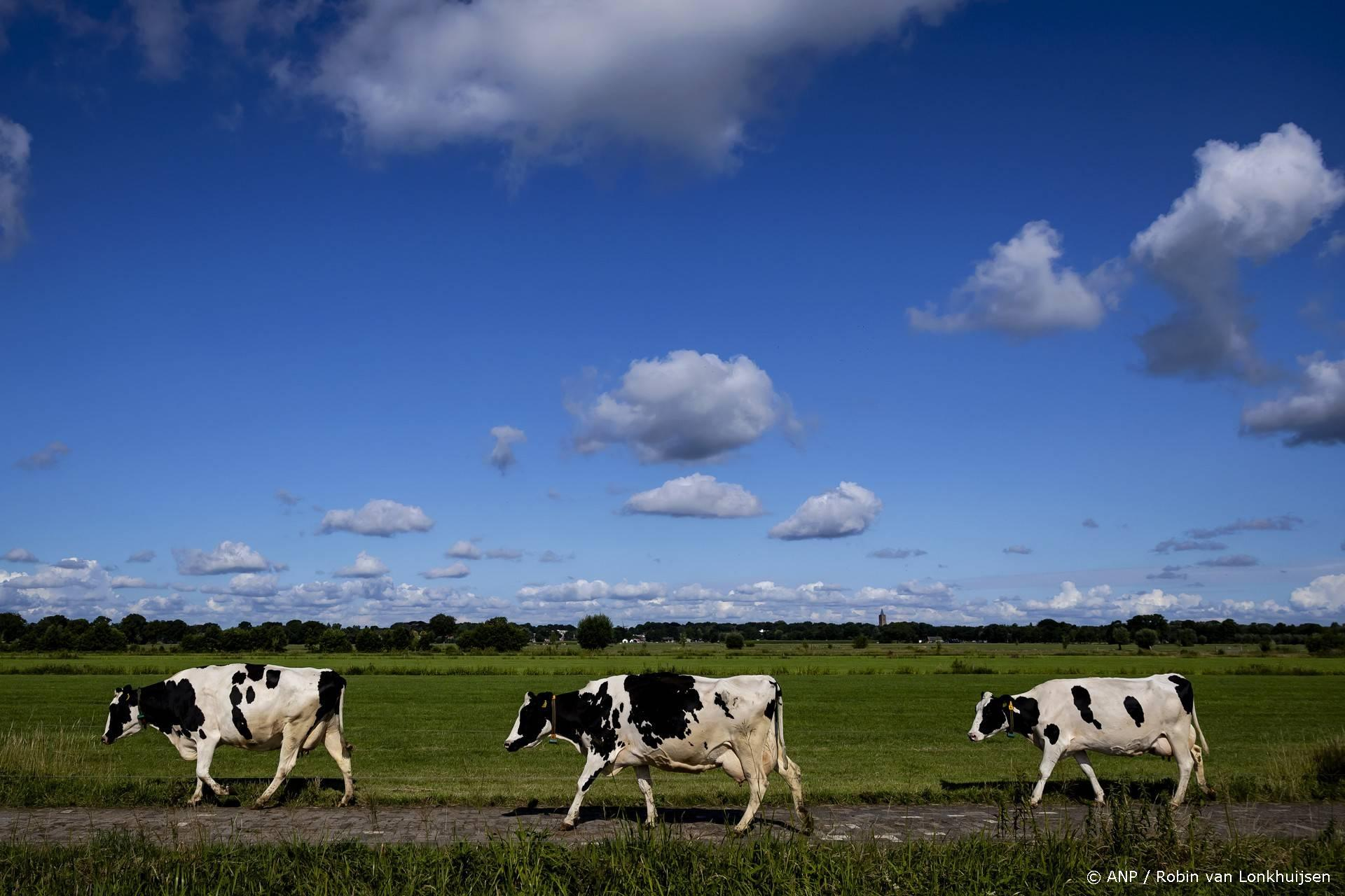 NSC wil strengere veehouderijnormen in kwetsbare gebieden