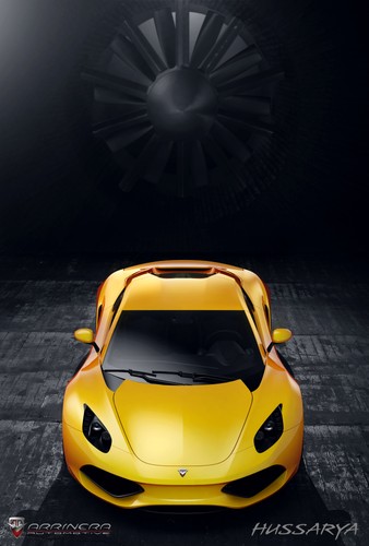 Arrinera hussarya
